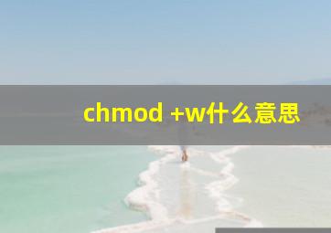 chmod +w什么意思